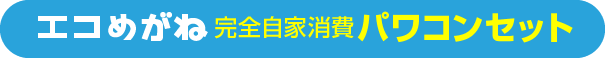 エコめがね 完全自家消費パワコンセット