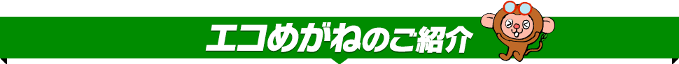 エコめがねのご紹介