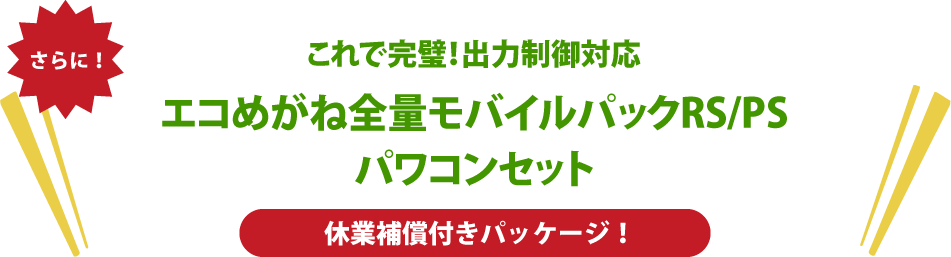 これで完璧！出力制御対応。エコめがね全量モバイルパックRS/PSパワコンセット。休業補償付きパッケージ