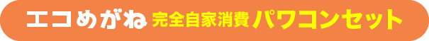 エコめがね 完全自家消費パワコンセット