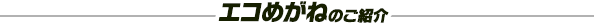 エコめがねのご紹介