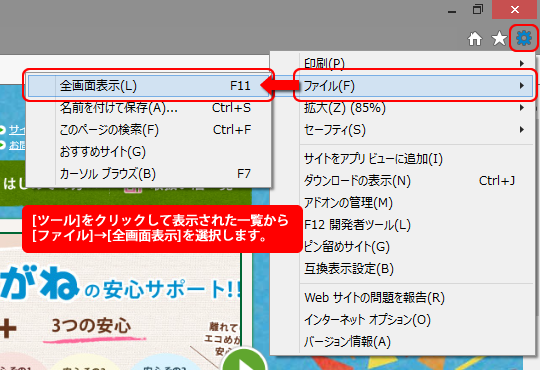 フルスクリーン表示 全画面表示 の設定方法を教えてください エコめがねについて 太陽光発電を遠隔監視するエコめがね